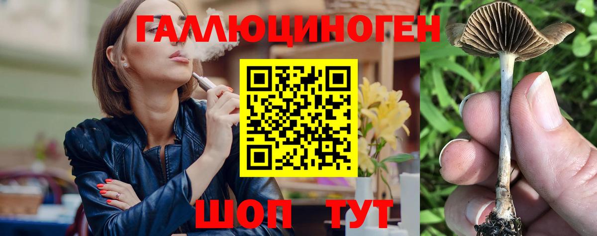 Галлюциногенные грибы GOLDEN TEACHER Саяногорск